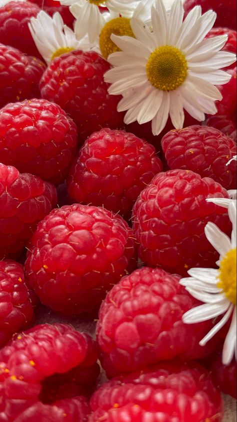 #wallpaper #wallpapers wallpaper raspberries flower berries red summer Raspberry Cookies, Food F, Fruits Images, Raspberry Red, Healthy Food Motivation, Red Wallpaper, Food Obsession, Strawberry Shortcake, I Love Food