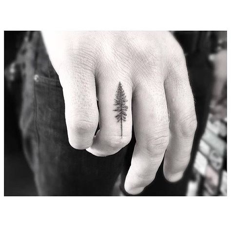 Fine line style pine tree tattoo on the right ring finger.                                                                                                                                                                                 More Wilderness Tattoo, Finger Tats, Pine Tree Tattoo, Muster Tattoos, Finger Tattoo, Tattoo Meaning, Tattoo Trends, Nature Tattoos, Tree Tattoo