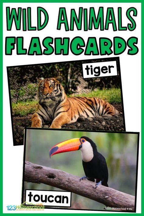 Jungle Animals Preschool Activities Free Printable, Pet Vs Wild Animal Sort Free, Montessori Animal Cards Free Printable, Zoo Animals Printables Free, Wild Animals Preschool Crafts, Safari Animal Prints Free Printable, Wild Animals Activities For Kindergarten, Zoo Animal Flashcards Free Printable, Wild Animal Activities