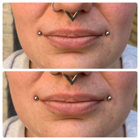 Dahlia Bites Piercing, Dahlia Bites, Mega Closet, Dahlia Piercing, Piercing Inspo, Facial Piercings, Body Modification, Piercing Ideas, Psychobilly