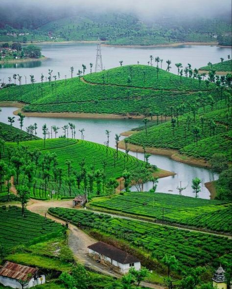 Kerala Nature Photography Tips, Tea Estate, Western Ghats, Ooty, Romantic Vacations, Beautiful Sites, Hill Station, Beautiful Photos Of Nature, Beautiful Nature Wallpaper