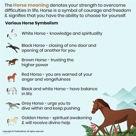 Horse Meaning Spirit Animal, Horse Dream Meaning, Horse Symbolism Meaning, Horse Spirit Animal Meaning, Horse Totem Spirit Animal, Animal Guides Spiritual, Horse Spiritual Meaning, Horse Symbolism, Spirit Animal Tattoo