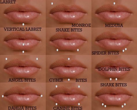 Lip Piercing Chart, Cute Facial Piercings Nose, Mouth Piercings Chart, Mouth Piercings Lips, Face Piercings Chart, Piercing No Rosto, Cute Facial Piercings, Ear Piercings Names, Piercings Chart