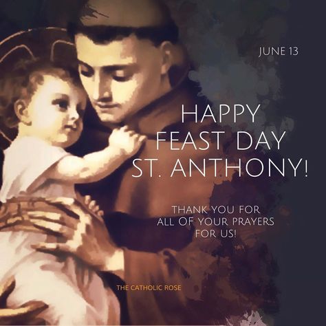 Kathleen M Obara on Instagram: “HAPPY FEAST DAY DEAR FRIEND ST. ANTHONY OF PADUA! ORA PRO NOBIS! ❤️ #lambofgod #stanthonyofpadua #stanthony #catholic #catholicsaints” St Anthony Feast Wishes, Happy Feast Of St Anthony, St Anthony Feast, Feast Day Wishes, Feast Of St Anthony, St Anthony's Feast, St Alphonsa, Happy Feast Day, Wedding Anniversary Message