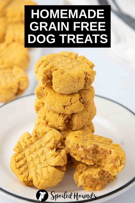 Homemade Grain Free Dog Treats are made with coconut flour, tapioca flour, pumpkin puree, peanut butter, and egg. Get the easy recipe and find out how to make the best grain free treats for dogs. These DIY dog treats have healthy, simple, and dog-safe ingredients. They’re gluten free, dairy free, and great for dogs with a wheat allergy. Homemade Dog Treats Without Flour, Peanut Butter Dog Treats Recipes, Healthy Dog Treats Homemade Grain Free, Grain Free Dog Treat Recipes Easy, Grain Free Dog Treats Homemade, Gluten Free Dog Treats Homemade, Homemade Soft Dog Treats, Pumpkin Dog Treats Easy, Home Made Dog Treats Recipe