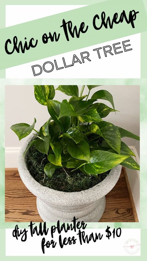 If you're looking for a cheap way to pep up your home or garden, look no further! You can make a stylish, durable, and long-lasting tall planter for under an hour with just a few basic tools and supplies from Dollar Tree. No power tools are required for this project, and all the tips, tricks, and techniques you need to make a cheap DIY tall planter will be revealed in this easy-to-follow DIY tutorial. Diy Tall Planters Indoor, Diy Front Porch Planters, Diy Tall Planters Outdoor Cheap, Dollar Tree Garden Hacks, Diy Large Planters Outdoor Cheap, Diy Large Planters Outdoor, Diy Tall Planters Outdoor, Diy Big Planters Pots, Cheap Planter Ideas