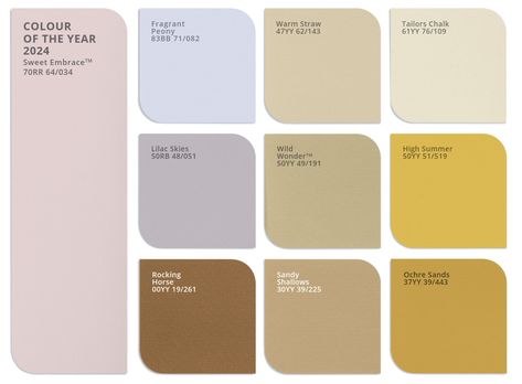 Dulux Colour of the Year 2024 - Uplifting Colour Palette | DDC Colour Of The Year 2024, Dulux Colour Schemes, Dulux Paint Colours, Bedroom Colours, Dulux Paint, Colour Story, Interior Wall Paint, Harvey Norman, Bedroom Wall Colors