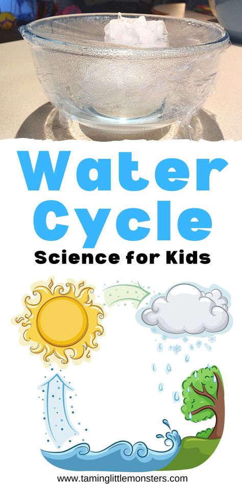 Water Activities Preschool, Science For Children, Water Cycle Craft, Water Cycle For Kids, Water Cycle Experiment, Water Cycle Project, Weather Experiments, Water Cycle Activities, Cycle For Kids