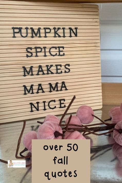 Fall Memo Board Quotes, Short Letter Board Quotes, Funny Letter Board Ideas Short, Fall Letter Board Ideas, Funny Letter Board Ideas, Letter Board Sayings, Campfire Quotes, Funny Fall Quotes, Letter Board Ideas