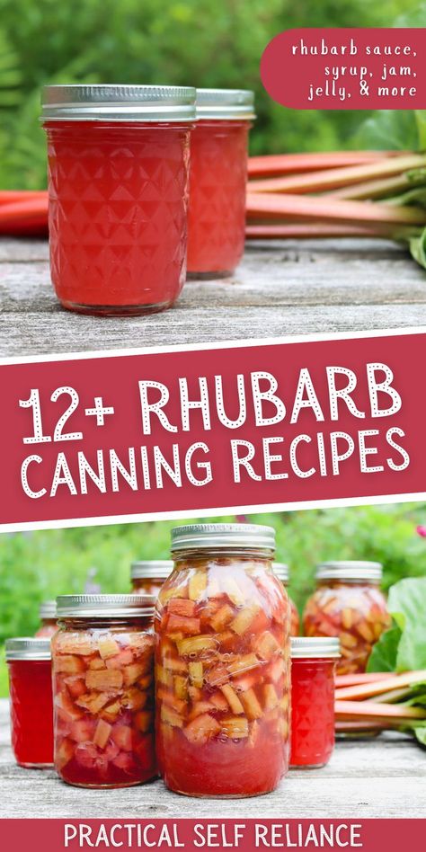 canning rhubarb pie filling and canning rhubarb sauce Rhubarb Canning Recipes Pie Fillings, Pickled Rhubarb Canning, Rhubarb Pie Filling Canning, Rhubarb Ketchup Recipe, Rhubarb Jelly Recipes With Jello, Strawberry Rhubarb Jelly Recipes, How To Preserve Fresh Rhubarb, Rhubarb Butter Recipes, Canned Rhubarb Pie Filling