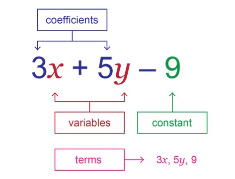 Simplify Algebraic Expressions, Algebraic Expressions Notes, Algebra Expressions, Mathematical Expressions, Algebra Basics, Basic Algebra Worksheets, Algebraic Expressions Worksheet, Simplify Expressions, Algebraic Expression