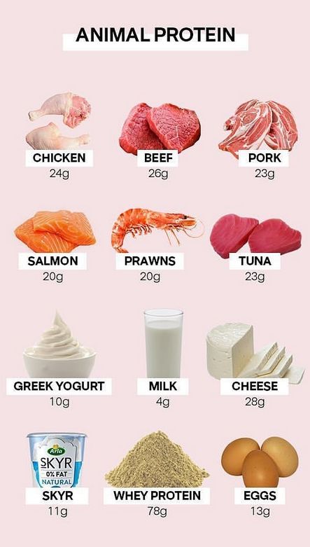 Plant Based Protein Sources, Vegan Protein Sources, Protein Rich Snacks, Yogurt Milk, Animal Based, Tea Health Benefits, Protein Packed Breakfast, Protein Rich Foods, Protein Diets