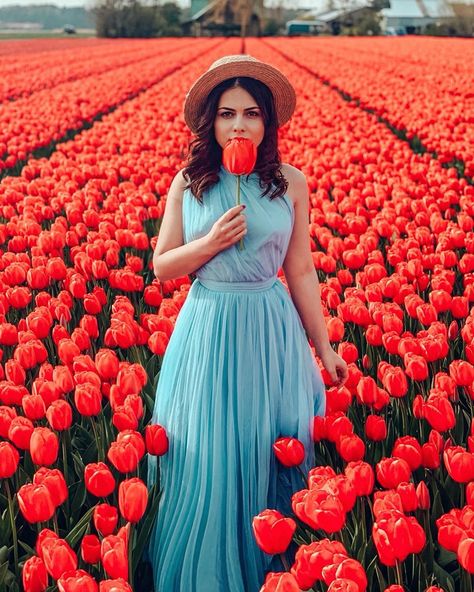 Tulips Picture, Romance Garden, Tulip Photoshoot, Tulip Photo, Poses Photoshoot, Beautiful Tulips, Tulip Field, Summer Picture Poses, Spring Photoshoot