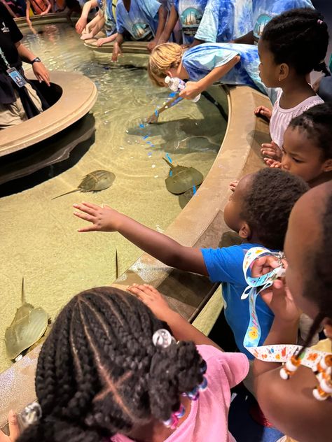 Today’s field trip .. National Aquarium in Baltimore. They love hands on learning and so do I! 🐡🐠🐟🦀🐙🐬🐳🦐🐊🦑🦈🪸🪼🐋 National Aquarium Baltimore, Hands On Learning, Baltimore, Field Trip, Stuff To Do, Instagram