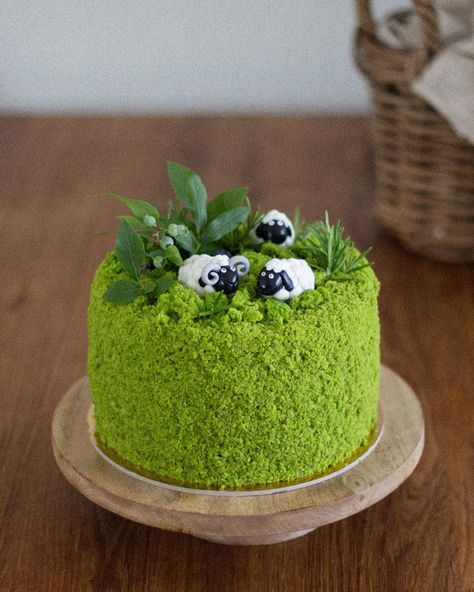 Ist a moss cake, made with spinach. And on the top of the cake there’s a two sheeps from sugar past Sheep Cake Ideas, Moss Cake, Babydoll Sheep, Sheep Cake, Decorate A Cake, Farm Cake, Special Cakes, Easter Cake, Cute Birthday Cakes