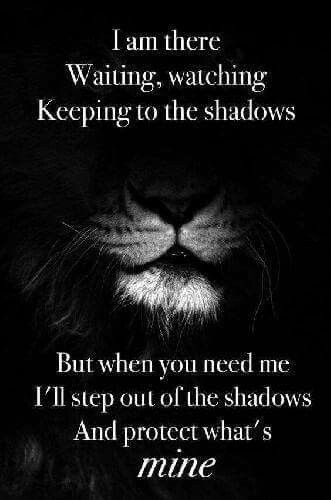 Love Quotes For Him Boyfriend, Lion Quotes, Wolf Quotes, Warrior Quotes, Word Up, Trendy Quotes, Badass Quotes, The Shadows, Inspirational Quotes Motivation