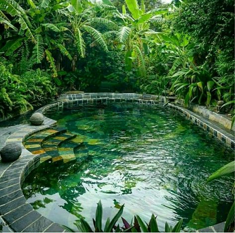 Kleiner Pool Design, Small Backyard Design Layout, Small Backyard Design Ideas, Backyard Design Ideas, Backyard Design Layout, Birds Singing, Natural Swimming Pools, Dream Pools, Backyard Pool Designs