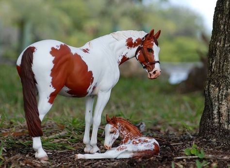 Horse love Bryer Horses, Western Pleasure Horses, Horse Show Clothes, Barrel Racing Horses, Quarter Horses, Custom Horse, All The Pretty Horses, Toy Horse, Breyer Horses