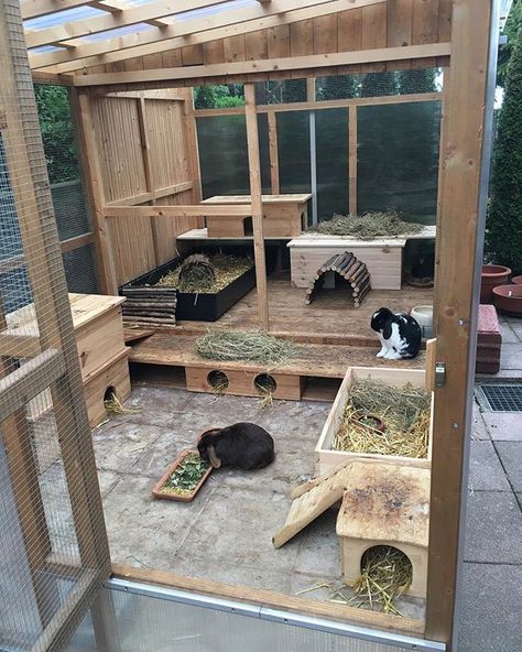 We've been making some changes to the bunny apartment 🐰 #bunnysquad #bunnies #bunny #bunnylove #bunniesofinstagram #bunbun #rabbit #rabbits… Bunny Apartment, Bunny Sheds, Rabbit Cages Outdoor, Rabbit Shed, Diy Rabbit Hutch, Rabbit Pen, Outdoor Rabbit Hutch, Rabbit Enclosure, Rabbit Habitat