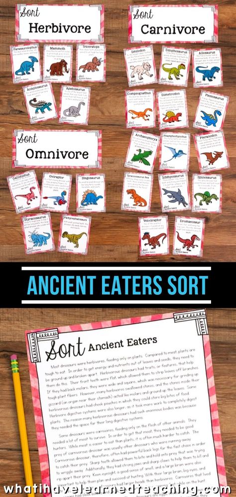 Dinosaur Eaters Science Sort Stations for third-grade classrooms that use the NGSS. These Next Generation Science Stations engage students in hands-on sorting activities. Each sort includes reading passages, black and white sort, colored table group sort, and comprehension questions in five formats. #ngss #sciencestations #thirdgradescience Carnivore Vs Herbivore Dinosaurs, Dinosaur Unit Study 3rd Grade, Dinosaur Activities 2nd Grade, Dinosaur Week Activities, Hybrid Dinosaurs, Dinovember Ideas, Dinosaur Science, Dinosaur Unit Study, Dinosaur Week