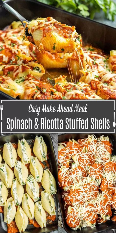 spinach and ricotta stuffed shells Ricotta And Spinach Stuffed Pasta Shells, Stuffed Jumbo Shells Recipe Spinach Ricotta, Cold Dinner Ideas, Spinach Ricotta Stuffed Shells, Spinach And Ricotta Stuffed Shells, Pasta Shells Stuffed, Pasta Entrees, Ricotta Stuffed Shells, Spinach Stuffed Shells