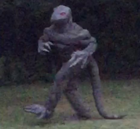 South Carolina woman reports sighting of ‘Lizard Man,’ captures photo evidence | Dangerous Minds Mystery Story Ideas, Satanic Panic, Lizard Man, Swamp Creature, Mystery Story, Ed Wood, Folk Lore, Mystery Science, Dangerous Minds