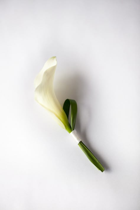 Modern white calla and Lilly Grass boutonniere.  View more of this collection at www.popsofplum.com Calla Lilly Boutineer Ideas, Lilly Bouquet Wedding, Calla Boutonniere, Cop Wedding, White Calla Lily Bouquet, Puglia Wedding, Modern Bridal Bouquets, Wedding Design Board, Calla Lily Boutonniere