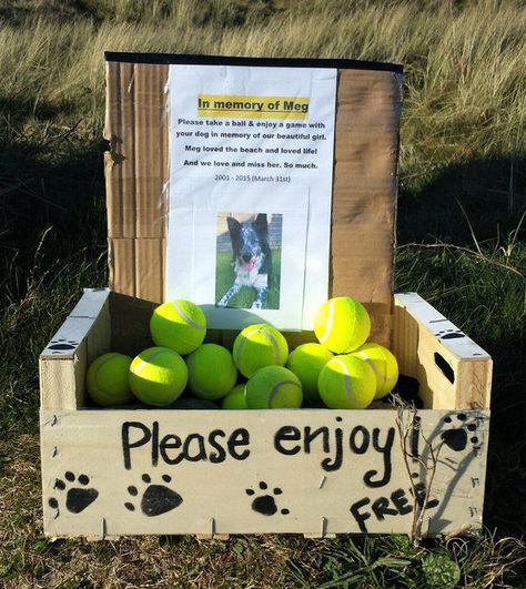 Pet Memorial Ideas Dogs, Pink Dogwood Tree, Pet Memorial Garden, Pet Memory, Memorial Ideas, Pet Cemetery, Memorial Garden, Tennis Balls, Beloved Dog