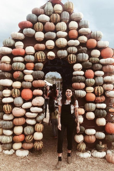 This Crazy Pumpkin Patch in California Is the Halloween Palace of Your Dreams Mr Bones Pumpkin Patch, Maze Ideas, Halloween Destinations, Farm Festival, Pumpkin Patch Kids, Pumpkin Patch Birthday, Pumpkin Patch Photoshoot, Pumpkin Patch Pictures, Best Pumpkin Patches