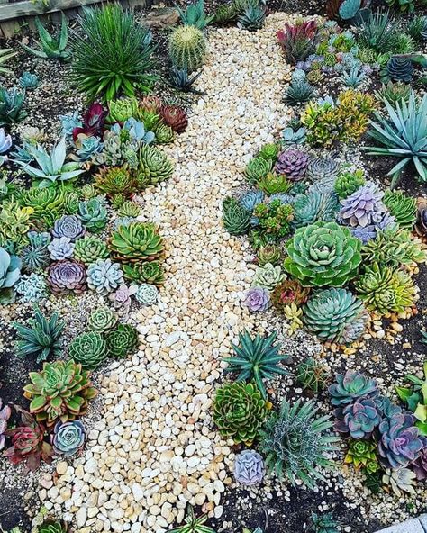 Landscaping Succulents, Plants Store, Succulent Garden Outdoor, Kaktus Dan Sukulen, Succulent Garden Landscape, Funny Vine, Succulent Landscape Design, Windowsill Garden, Succulent Garden Design