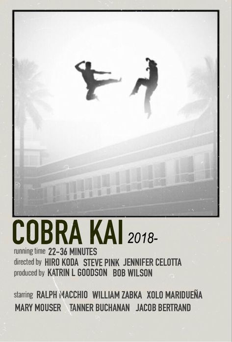 Cobra Kai Aesthetic, Cobra Kai Poster, Kai Poster, Kai Aesthetic, Cobra Kai Wallpaper, Kobra Kai, Aesthetic Polaroid, Posters Minimalist, Cobra Kai Dojo