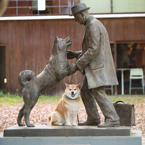 Hachiko Dog, Hachiko A Dog's Story, Hachi A Dogs Tale, Hachiko Statue, Menswear Dog, Japanese Dog Breeds, A Dog's Tale, Dog Movies, Japanese Dogs