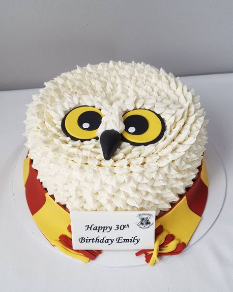 Amy A. on Instagram: “I had such a hoot making this Hedwig cake! 🦉✉ #harrypotterlove #wizardsbestfriend . . . . #harrypotter #hedwig #hogwarts #hedwigcake…” Hedwig Cake, Pastel Harry Potter, Harry Potter Desserts, Gateau Harry Potter, Owl Cake Birthday, 12th Birthday Cake, Harry Potter Birthday Cake, Cumpleaños Harry Potter, Harry Potter Owl