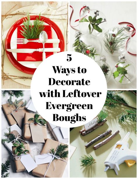 5 Ways to Decorate with Leftover Evergreen Boughs Christmas Boughs, Holiday Potpourri, Things To Create, Fancy Dishes, Yosemite Wedding, Watch Christmas Movies, Festive Crafts, Tree Trimming, Simple Holidays