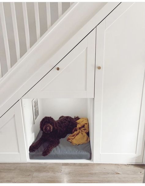 Under Stairs Storage And Dog Bed, Understairs Storage With Dog Bed, Dog Under The Stairs Room, Under Stairs Kennel Ideas, Dog Under The Stairs, Under Stairs Storage Dog Bed, Dog Bed Under The Stairs, Under Stair Dog Bed, Under Stairs Dog Room Ideas