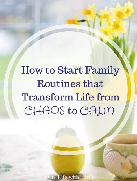 Family Morning Routine, Family Routine Ideas, Weekend Routine For Kids, Making Routines, Transform Life, Family Routine, Natural Family Planning, Family Culture, Happy Homemaking