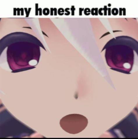 Vflower Wallpaper, Vflower Pfp, Vflower Icon, V Flower Vocaloid, Flower Vocaloid, V Flower, My Honest Reaction, Honest Reaction, Vocaloid Funny