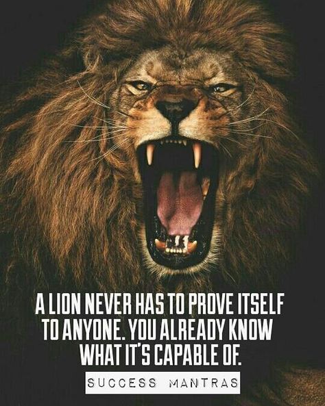 Leo Quotes, Strong Motivational Quotes, Lion Quotes, Success Mantra, Military Quotes, Inspirational And Motivational Quotes, Warrior Quotes, Strong Quotes, Best Inspirational Quotes