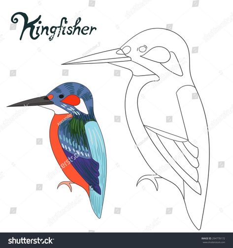 Bird Painting Acrylic, Bird Cartoon, Bird Vector, Bird Template, Acrylic Art Projects, Cartoon Doodle, Kingfisher Bird, Chicken Painting, Stained Glass Birds