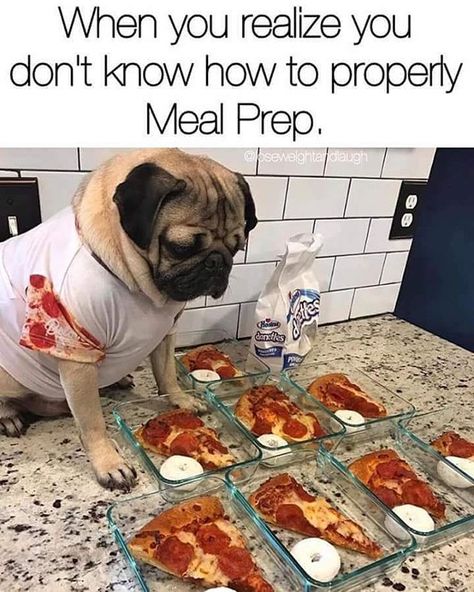 So me!!  #pizza #mealprep #dog #yum #healthy #not #dontjudgeme #funny #funnymemes Pizza Meme, Powerlifting Motivation, Diet Humor, Fitness Humor, Pizza Funny, Funny Fitness, Fitness Video, This Is Your Life, Workout Memes