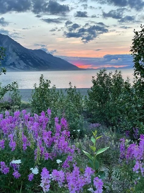 Alaska Highway Road Trip, Kluane National Park, Yukon Canada, Alaska Highway, Parks Canada, Tourism Website, Canyon Road, Trip Itinerary, Canoe And Kayak