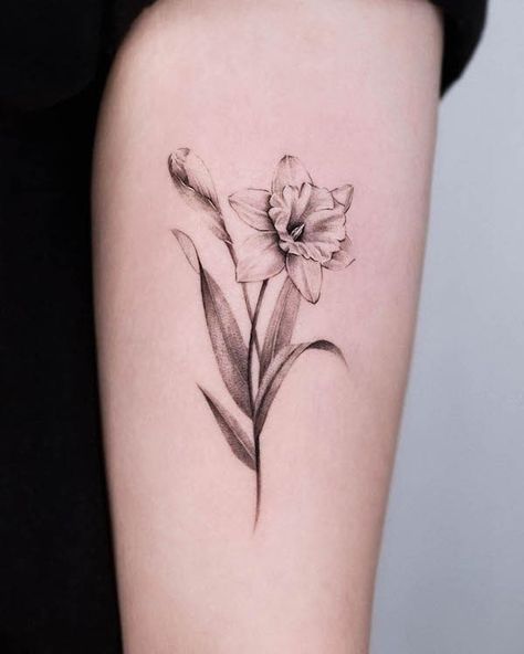 Narcissus Flower Tattoo Realism, Narccicus Flower Drawing, Forearm Daffodil Tattoo, Defodiles Flower Tattoo, Paperwhites Flower Tattoo, Southern Flower Tattoo, Narcissus And Snowdrop Flower Tattoo, January And April Flower Tattoo, Violet Daffodil Tattoo