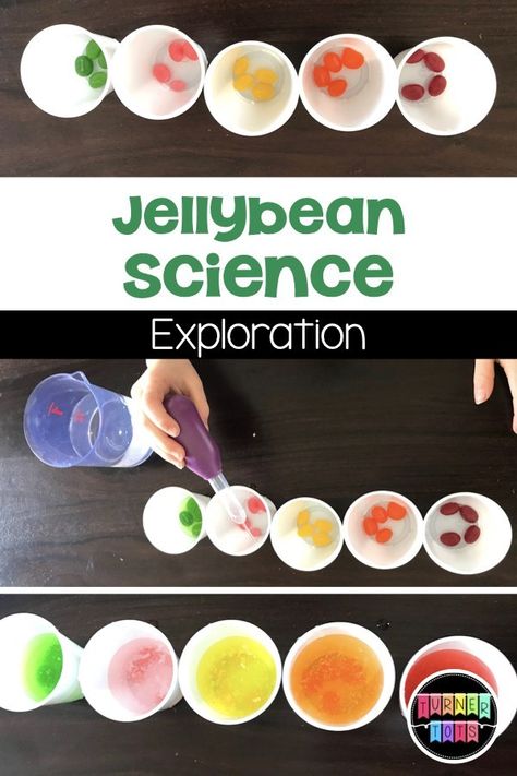 Jellybean Science Exploration | Add water to jellybeans to see what happens with this preschool science activity for Easter or Jack and the Beanstalk. Jack And The Beanstalk Preschool, Eyfs Jack And The Beanstalk, Fairy Tale Science, Fairy Tales Preschool Activities, Dramatic Play Activities, Fairy Tales Preschool, Science Experience, Fairy Tale Activities, Science Week