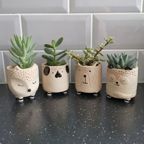 These Succulents in Mini Pots Are the Cutest Thing | Balcony Garden Web Polymer Clay Planter, Pinch Pots For Kids, Miniature Pots, Clay Planter, Cactus Terrarium, Mini Plant Pots, Tiny Cactus, Mini Plant, Mini Cactus