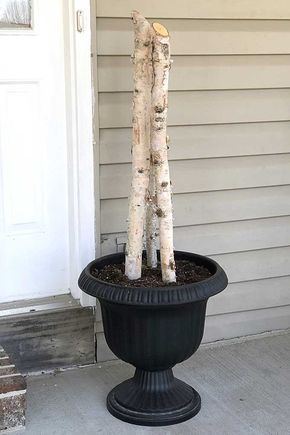 Birch logs in a porch pot Birch Planter Ideas, Spring Outdoor Urns Front Doors, Birch Tree Decor Outdoor, Spring Outdoor Planter Ideas, Easter Porch Pot Ideas, Spring Pots For Porch Front Doors, Easy Front Porch Decor, Spring Urns Ideas Front Porches, Easter Pots Outdoor