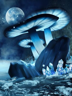 Mushroom Ceremony, Horse Forest, Journey Music, Giant Crystal, Sacred Earth, Glowing Mushrooms, Mystery School, Future Vision, Magic Mushroom