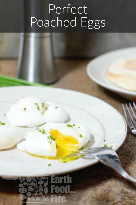 Learn how to poach perfect eggs at home without the need for fancy tools or techniques. Great for brunch or when making Eggs Benedict. #poachedeggs #brunch #eggsbenedict #eggs #breakfast #howto #keto Poaching Eggs, Culinary Basics, Easy Eggs Benedict, Quick Vegetarian Recipes, Perfect Poached Eggs, Egg Benefits, Scratch Cooking, Brunch Eggs, Urban Homestead