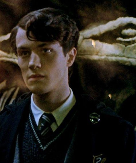 Tom Marvolo Riddle, Off With His Head, Tom Riddle, X Reader, Riddles, On Tumblr, The Story, Tumblr