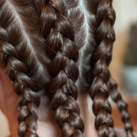 Four Dutch Braids, Dutch Plaits, Dutch Plait, How To Braid Hair, Hair Long Hairstyles, Braids Dutch, Thick Long Hair, Everyday Hairstyle, How To Braid