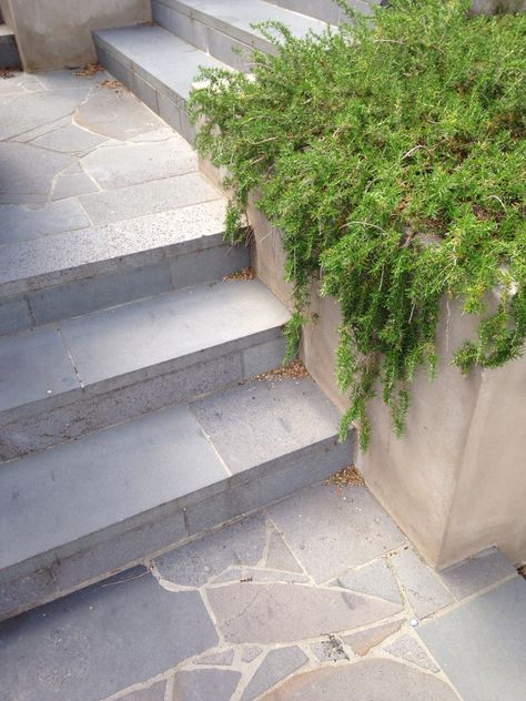 Crazy paving and sawn bluestone combo Crazy Paving Stairs, Crazy Pave Stepping Stones, Grout Colours, Landscape Paving, Crazy Pave, Bluestone Paving, Stone Patio Designs, Entry Steps, Paver Steps